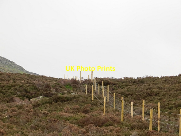 Photo 6"x4" New electric fence Lochan a' Chait\/NO0551 c2013