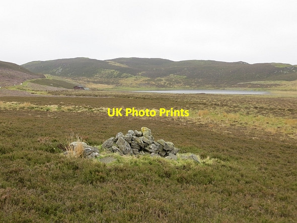 Photo 6"x4" Grouse butt, Lochan a' Chait Lochan a' Chait\/NO0551 c2013
