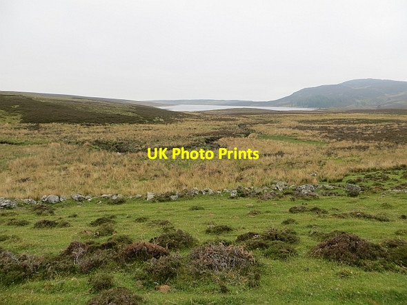 Photo 6"x4" Grazing, Craigsheal Laird's House c2013