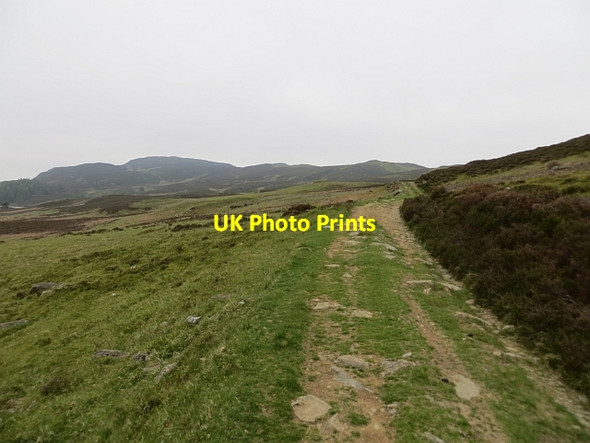 Photo 6"x4" Track over Rieman Hill Laird's House c2013