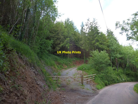 Photo 6"x4" Access road into woodland east of Chawleigh Chawleigh c2013