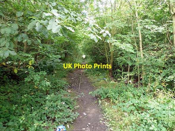 Photo 6"x4" On the route of the Seaham railway incline Seaham c2012