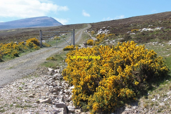 Photo 6"x4" Access to Laid waterworks Laid\/NC4159 c2013