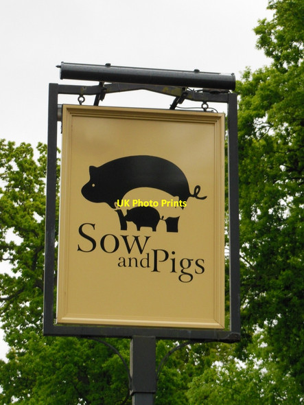 Photo 6"x4" The Sow and Pigs, Thundridge Ware\/TL3614 c2013 P1