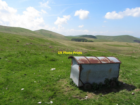 Photo 6"x4" Animal feeder near Peelinick Chatto c2013