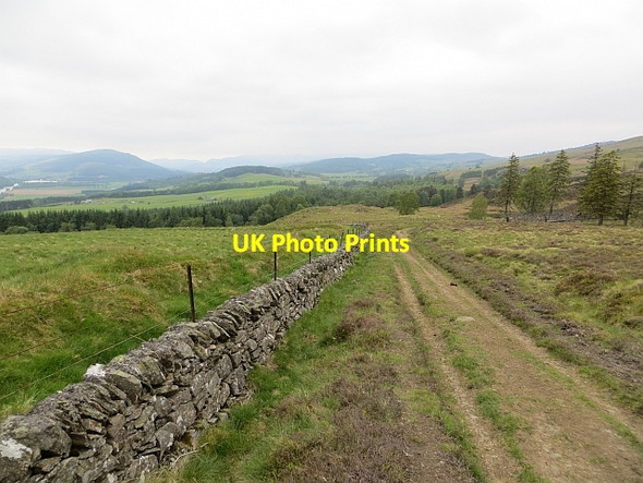 Photo 6"x4" Track above Dowally Dalguise c2013