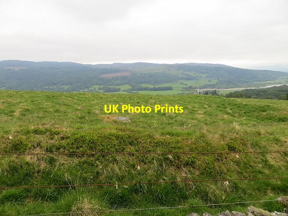 Photo 6"x4" Old field boundaries Dalguise c2013