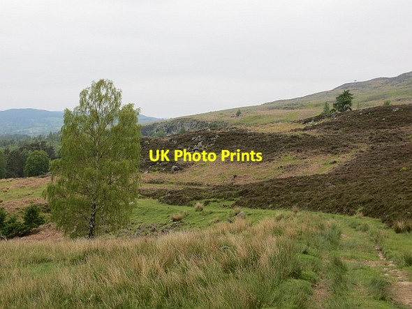 Photo 6"x4" Track near Guay Guay c2013