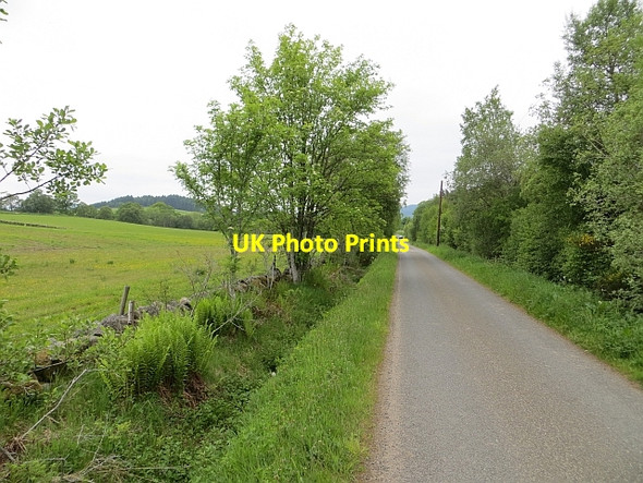 Photo 6"x4" Road to Tullimet Guay c2013
