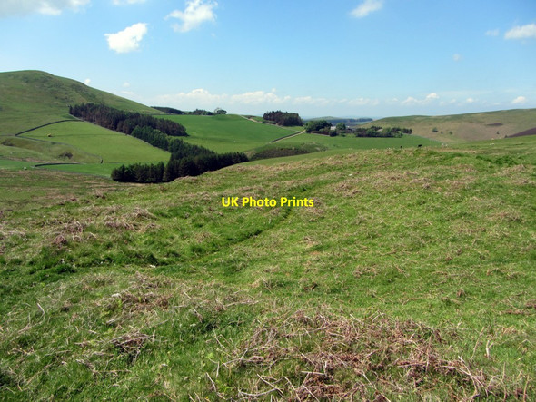 Photo 6"x4" Settlement south-west of Kielhope Law Chatto c2013