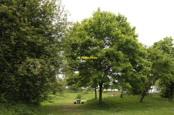 Photo 6"x4" The Fish Hill Picnic Area Bury End\/SP0936 c2013