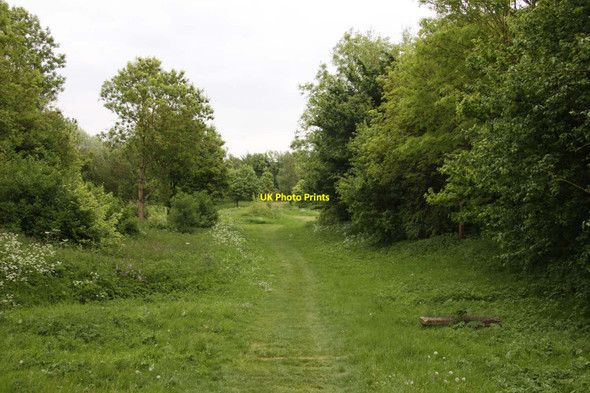 Photo 6"x4" The Cotswold Way at Fish Hill Picnic Area Broadway\/SP0937 c2013