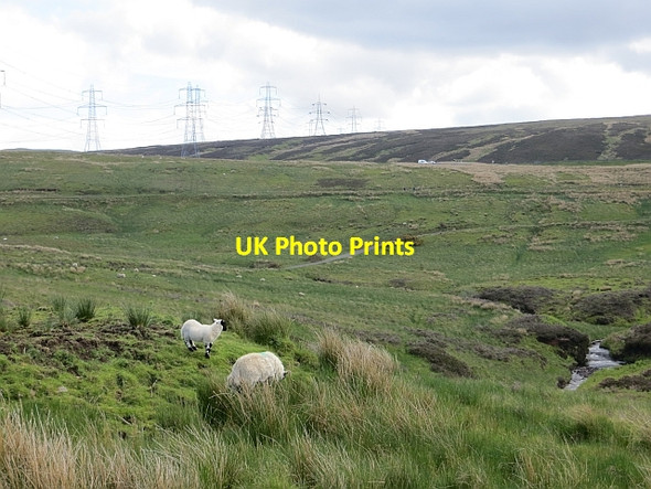 Photo 6"x4" Upper Kelly Glen Skelmorlie c2013