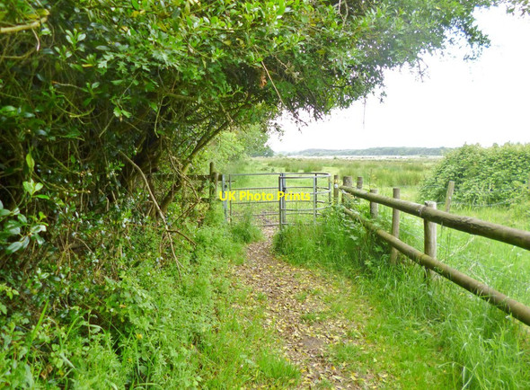 Photo 6"x4" Swineham, kissing gate Wareham c2013
