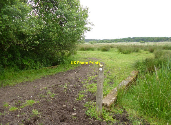 Photo 6"x4" Bestwall, footpath marker Wareham c2013