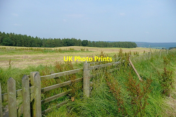 Photo 6"x4" Calton Pastures Bakewell c2012