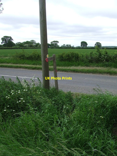 Photo 6"x4" Footpath Sign Goose Green\/TM1187 c2013