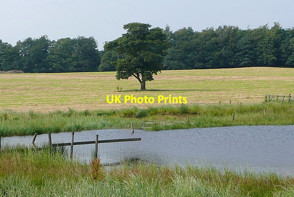 Photo 6"x4" Lake at Calton Pastures Bakewell c2012