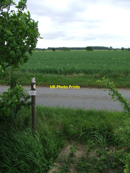 Photo 6"x4" How Enterprising Pristow Green c2013