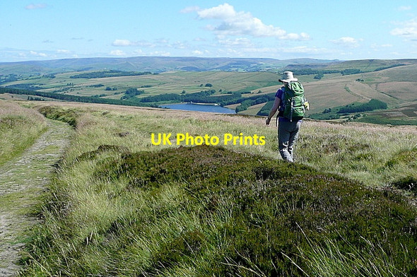 Photo 6"x4" Path towards Errwood Macclesfield Forest c2012