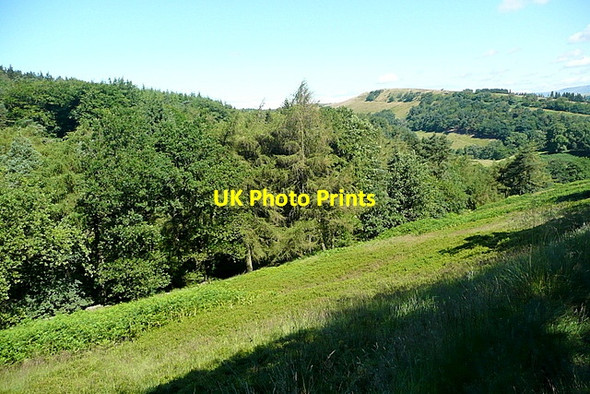 Photo 6"x4" Towards Shooter's Clough Macclesfield Forest c2012