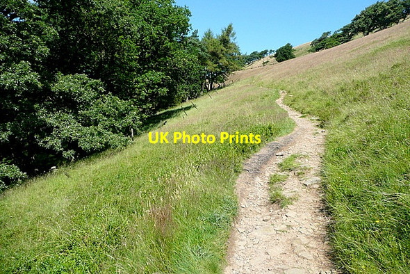 Photo 6"x4" Path below Foxlow Edge Fernilee c2012