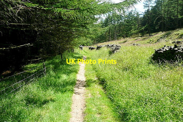 Photo 6"x4" Path beside The Street Fernilee c2012