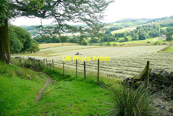 Photo 6"x4" Edge of Watford Wood Burbage\/SK0472 c2012