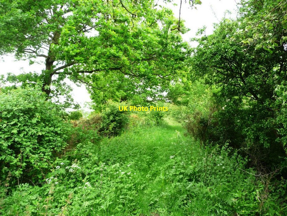 Photo 6"x4" View west along former railway embankment Thistleton\/SK9117 c2013