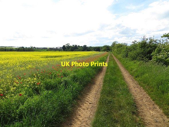 Photo 6"x4" Farm track, Bolton Bolton\/NT5070 c2013