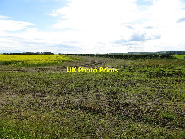 Photo 6"x4" Field corner, Bolton Haddington\/NT5173 c2013