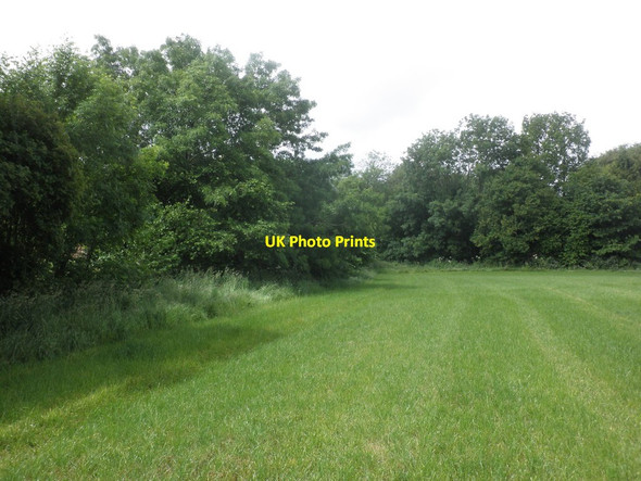 Photo 6"x4" Grassy field, Cheddon Fitzpaine Cheddon Fitzpaine c2013