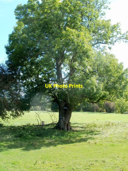 Photo 6"x4" Would-be poachers beware, Llanellen Beili-glas c2011