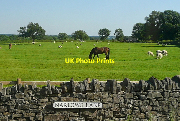 Photo 6"x4" Paddock at Narlows Lane Fenny Bentley c2012