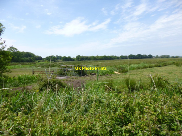 Photo 6"x4" Ridge, watermeadows Wareham c2013