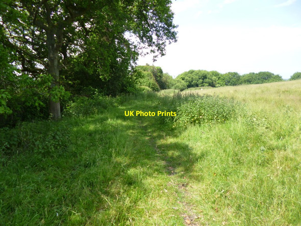 Photo 6"x4" Ridge, footpath Wareham c2013