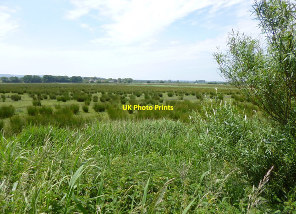 Photo 6"x4" Ridge, watermeadows Wareham c2013