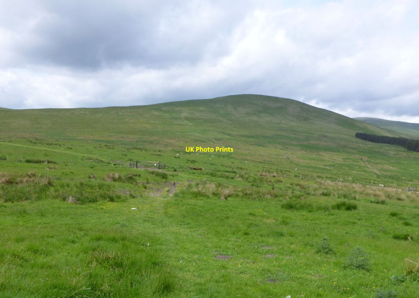 Photo 6"x4" Track to Hogdon Law Alnham c2013