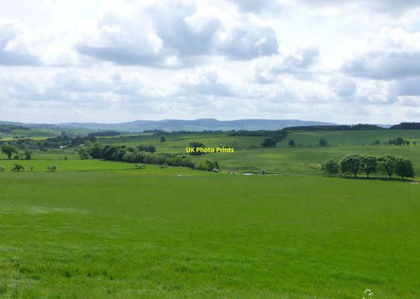Photo 6"x4" Pasture leading down to the Netherton Burn Netherton\/NT9807 c2013