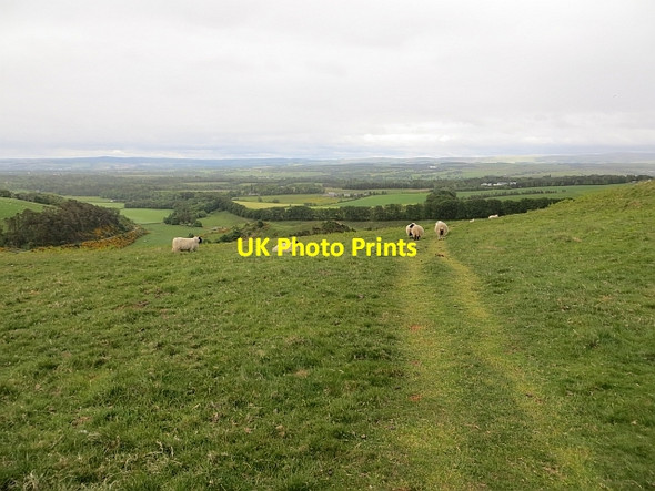 Photo 6"x4" Quadbike track on Turnhouse Hill Woodhouselee c2013