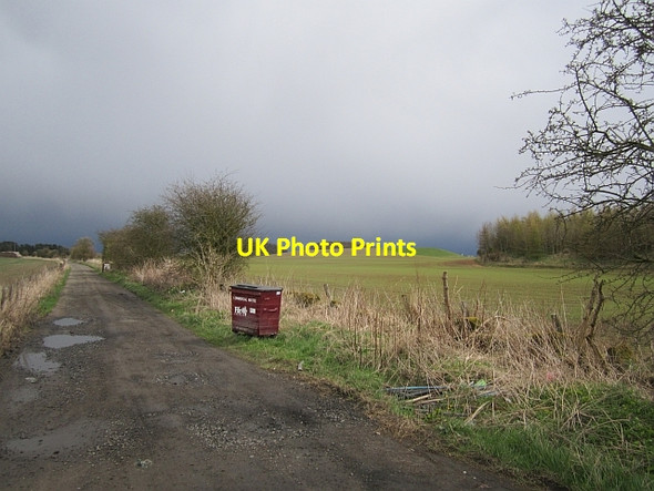 Photo 6"x4" Road to Lochmuir and Birkie Woods Markinch c2013