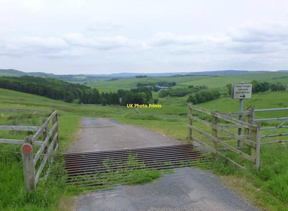 Photo 6"x4" Cattle grid on road to Ewartly Shank Alnham c2013