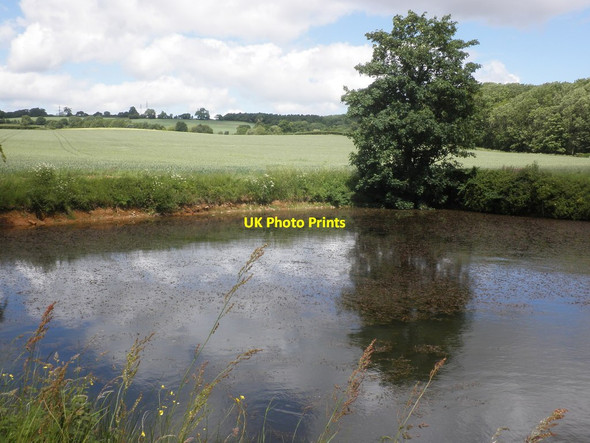 Photo 6"x4" Pond, near Rowford Upper Cheddon c2013