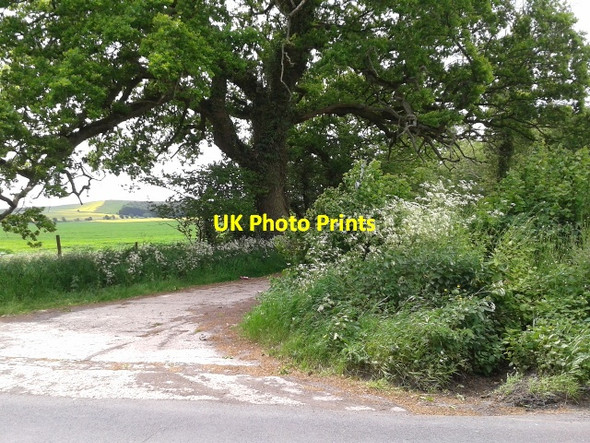 Photo 6"x4" Gypsy Lane crossing the road Draycot Foliat c2013