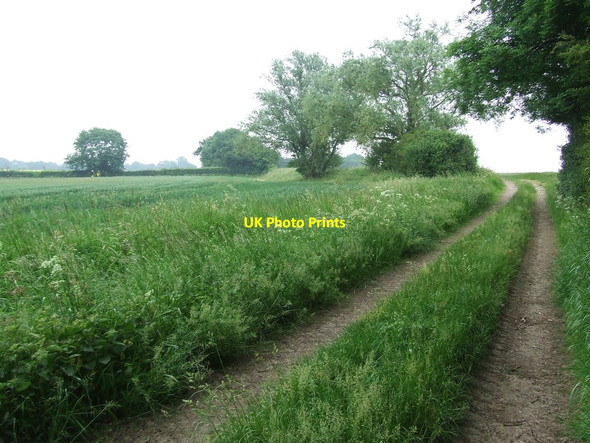 Photo 6"x4" Peakhall Lane Acton\/TL8944 c2013