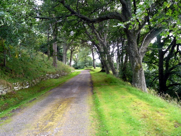 Photo 6"x4" Kintradwell Lodge driveway Achrimsdale c2008