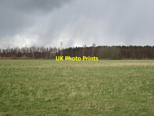 Photo 6"x4" Grass field, Ladybank Ladybank\/NO3009 c2013