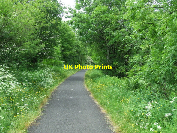 Photo 6"x4" Cycle path at Elderslie Johnstone\/NS4362 c2013