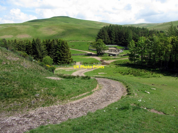 Photo 6"x4" Track south-west of Buchtrig Chatto c2013
