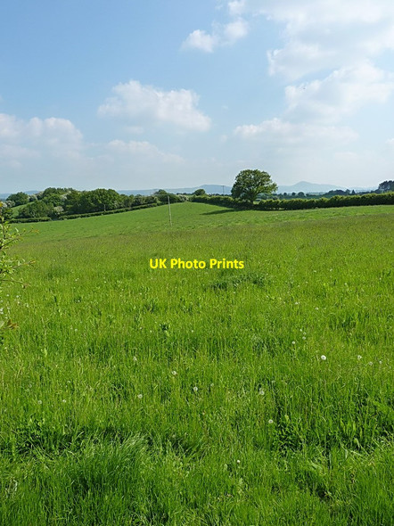 Photo 6"x4" Footpath towards Stapleton Chatford c2013